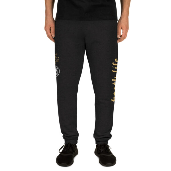 Latitude Label Unisex Joggers - Image 6